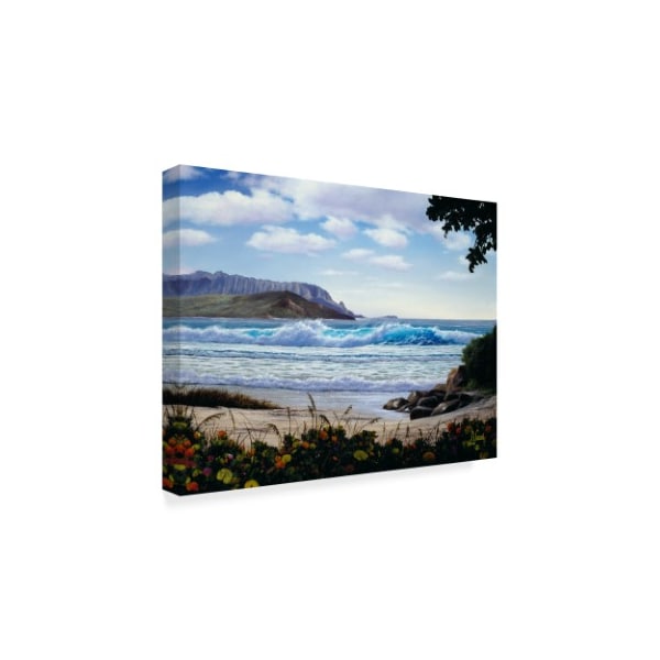Anthony Casay 'Floral Beach' Canvas Art,18x24
